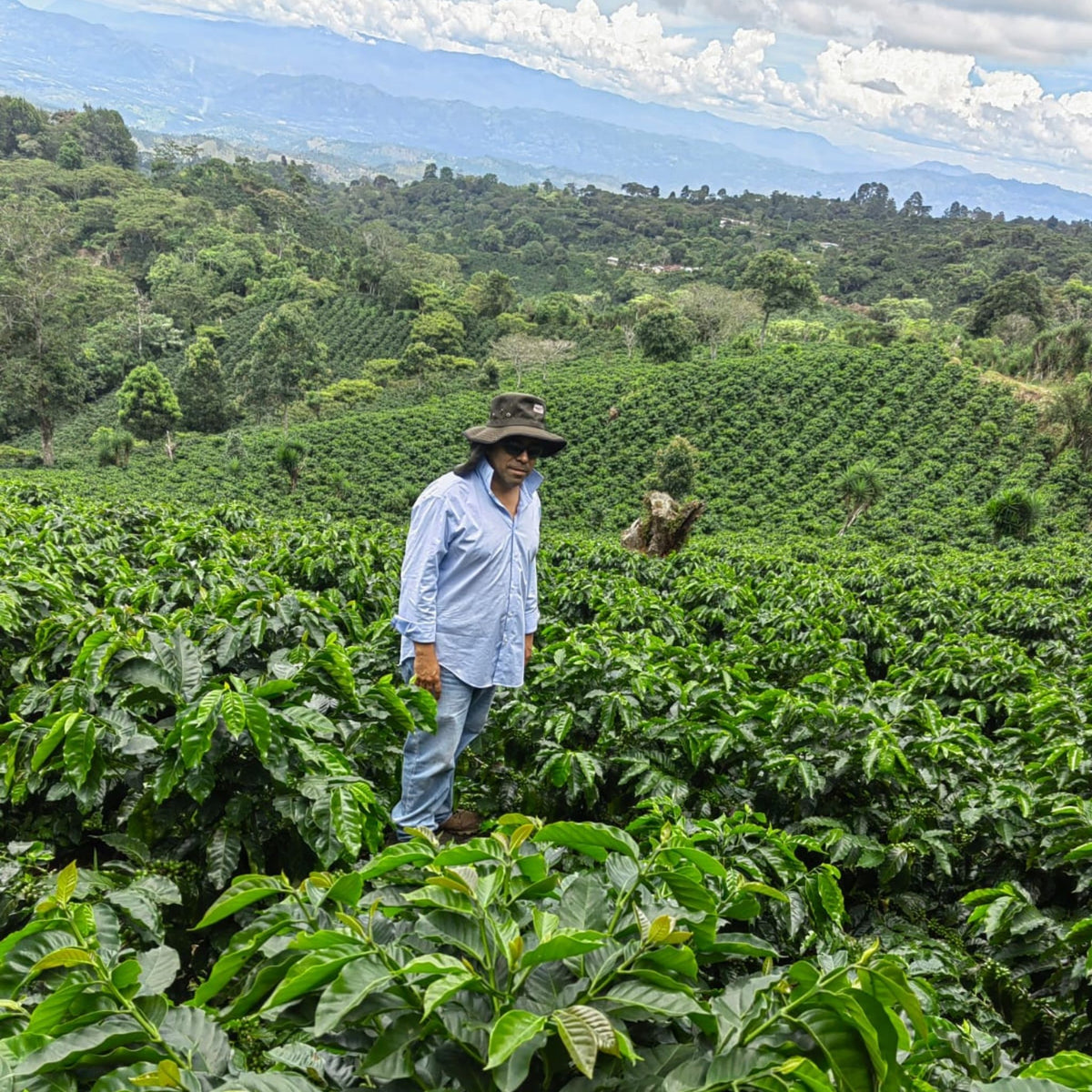 Honduras - Carlos Nuñez - Natural
