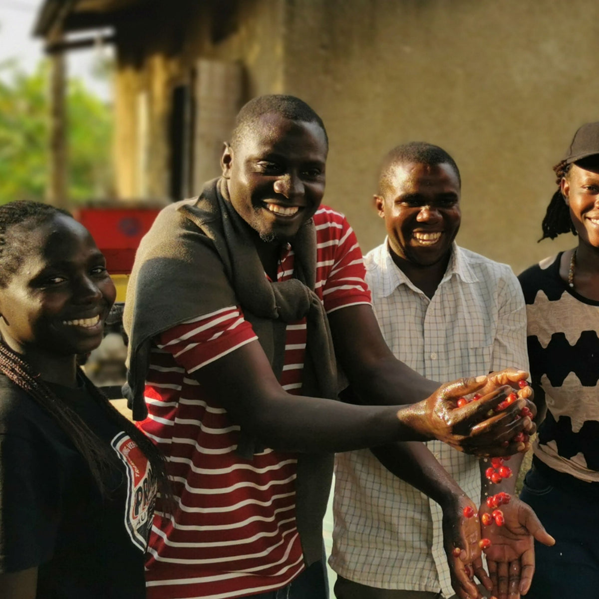 Uganda - Kabuuka Immaculate - Natural